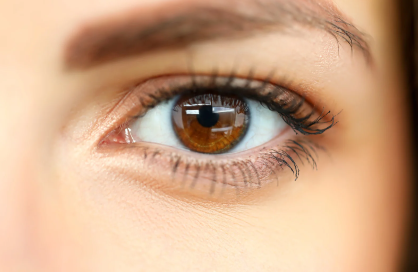 h4y lashes 2 c
